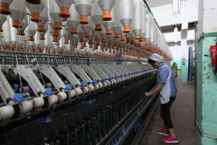 紡織廠如何精準(zhǔn)開拓客戶并推動紡織技術(shù)開發(fā)